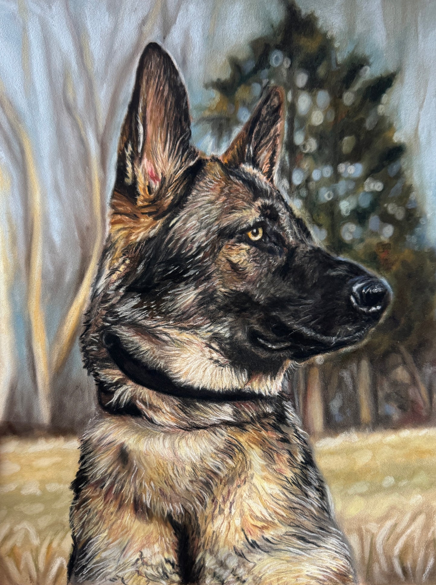 Custom Pastel Pet Portrait Drawing